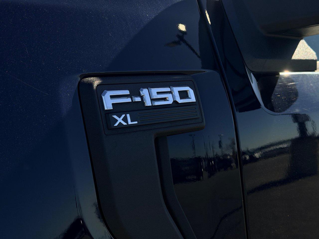2022 Ford F-150 XL Photo