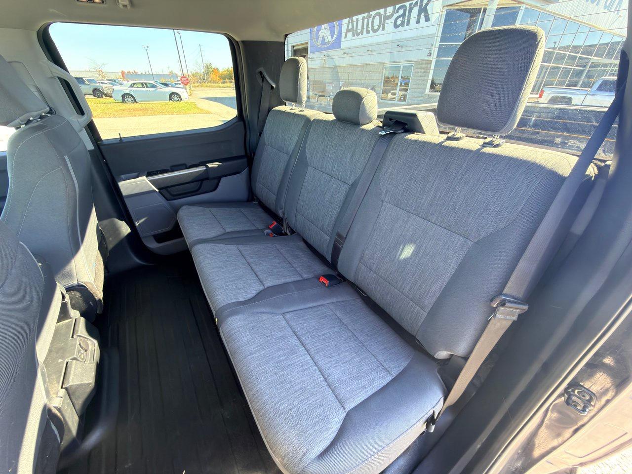2022 Ford F-150 XL Photo