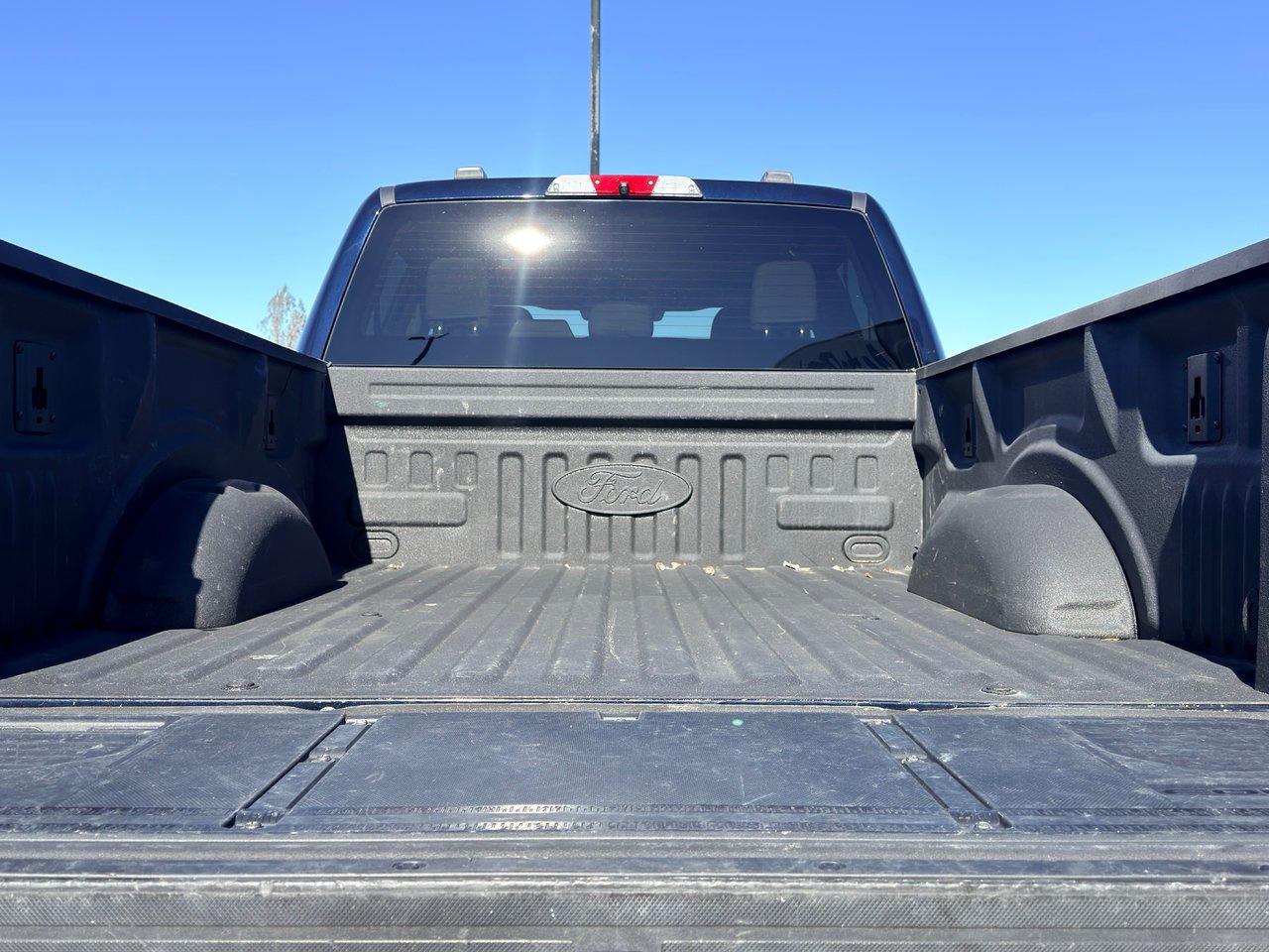 2022 Ford F-150 XL Photo