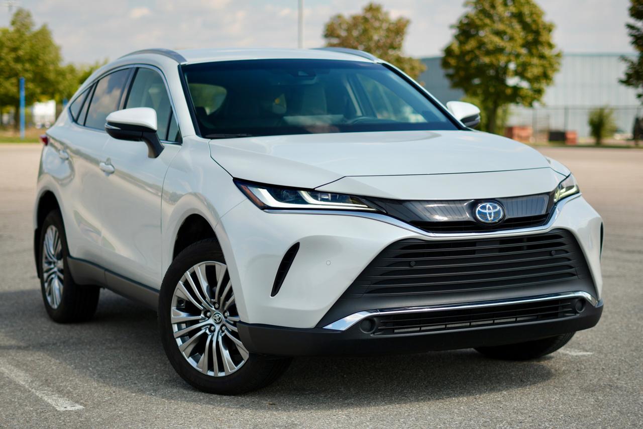 2022 Toyota Venza XLE Photo