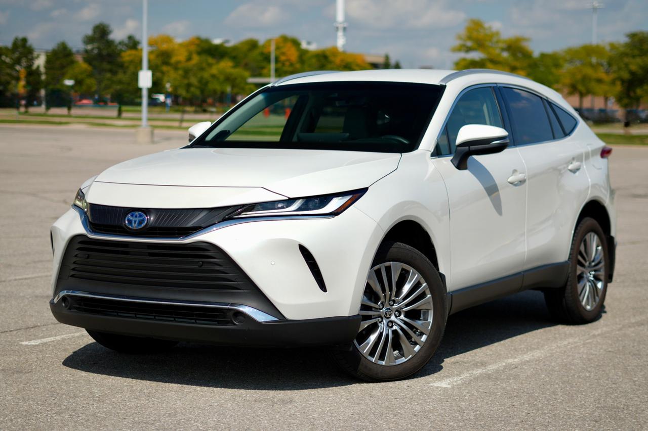 2022 Toyota Venza XLE Photo