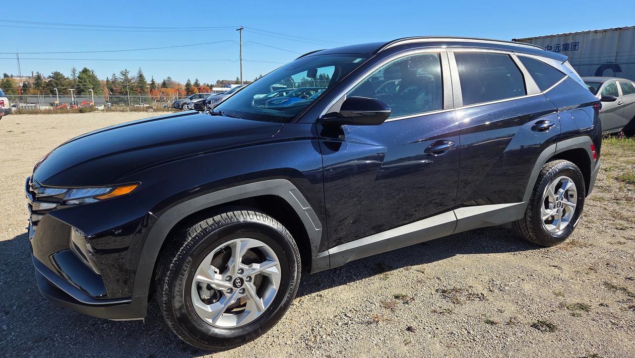 2023 Hyundai Tucson Preferred Photo