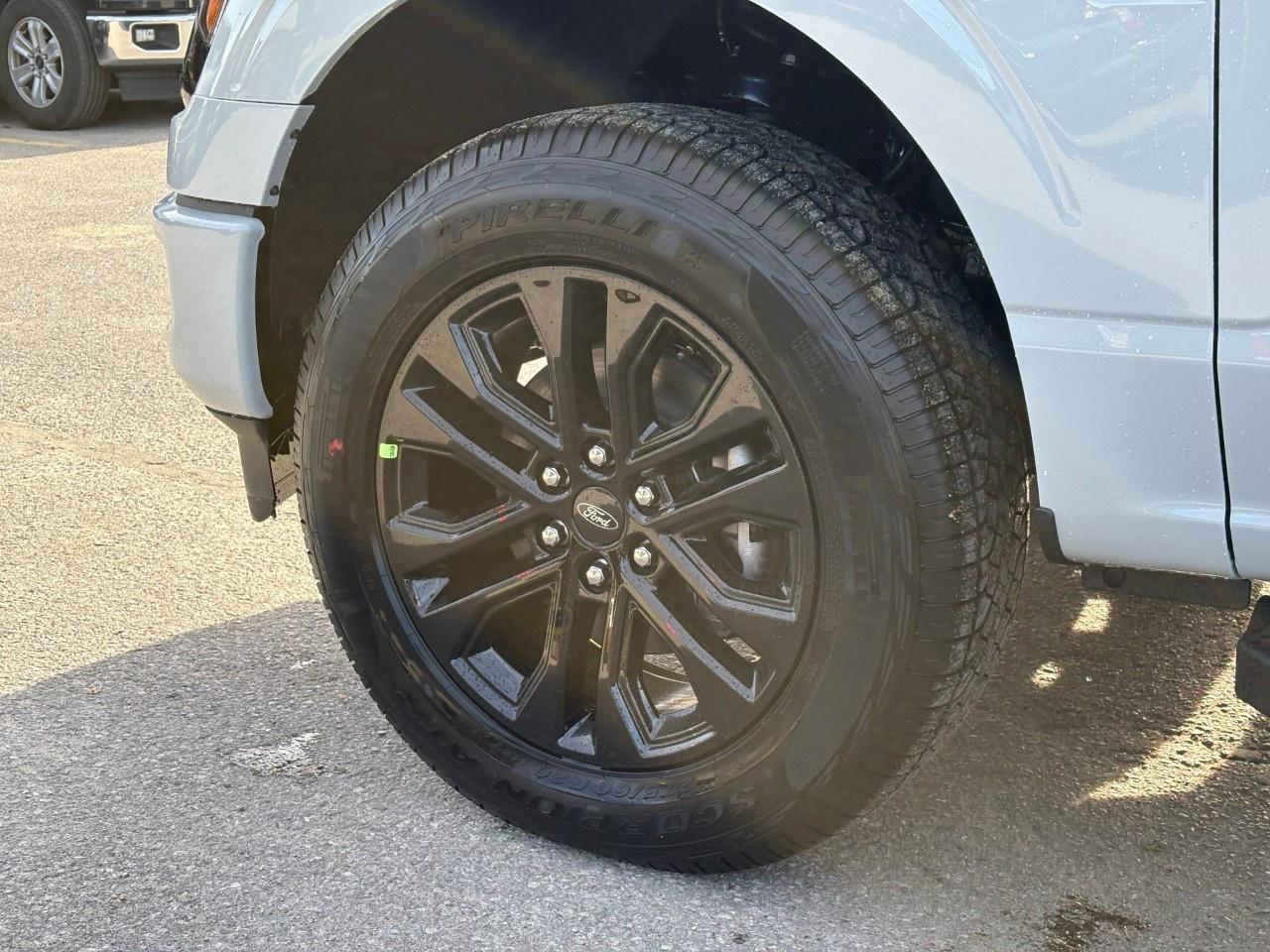 2026 Ford F-150 XLT 4WD SuperCrew 6.5' Box Photo