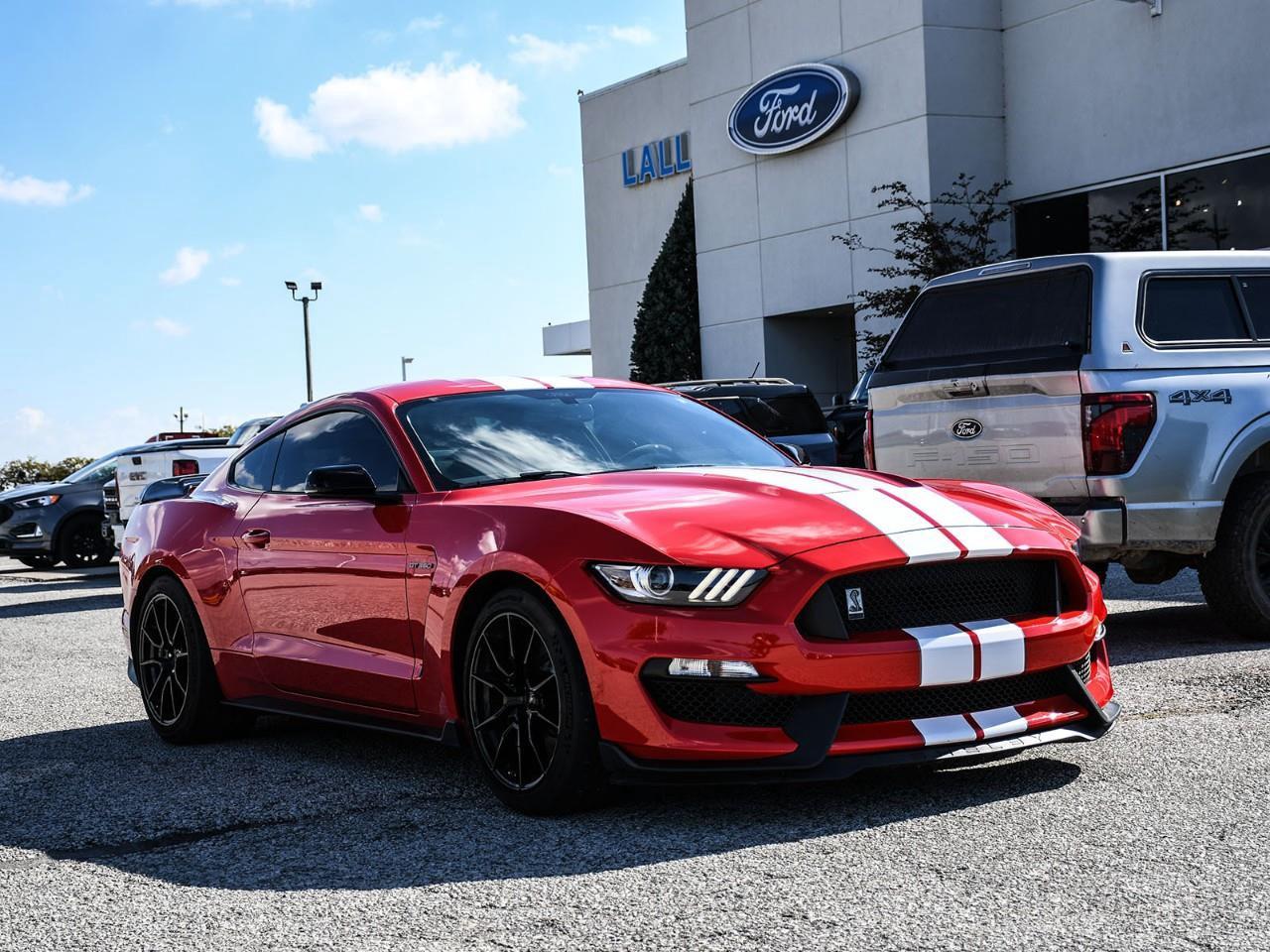 2019 Ford Mustang Shelby GT350 Photo