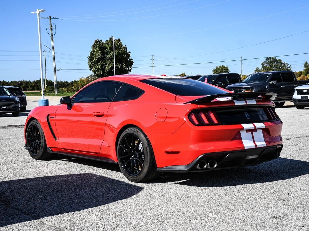 2019 Ford Mustang Shelby GT350 Photo
