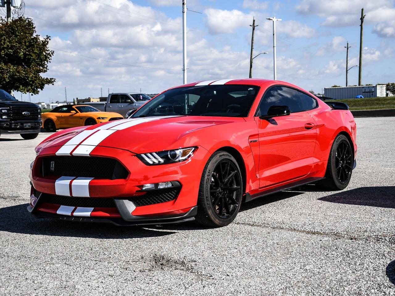 2019 Ford Mustang Shelby GT350 Photo