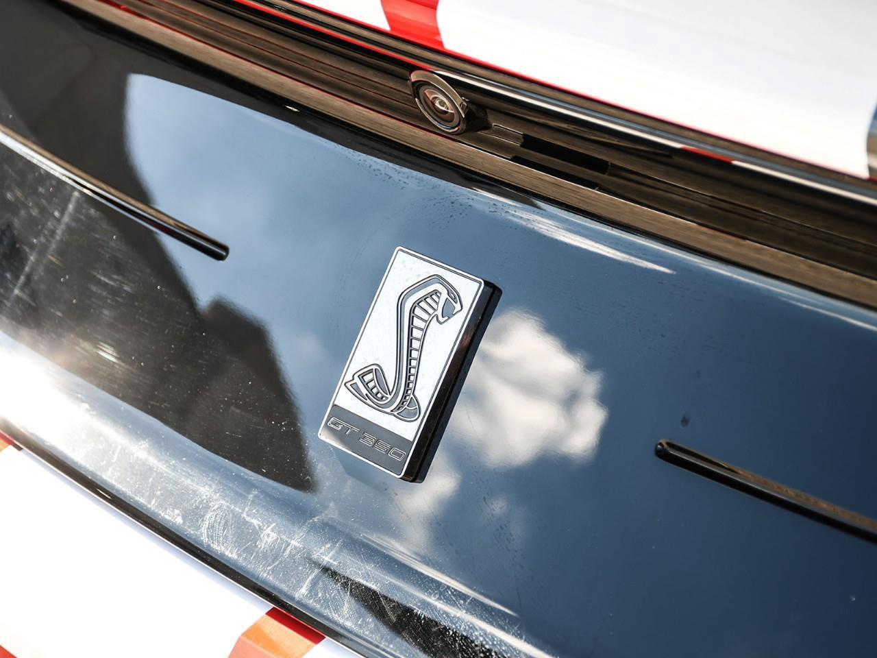 2019 Ford Mustang Shelby GT350 Photo