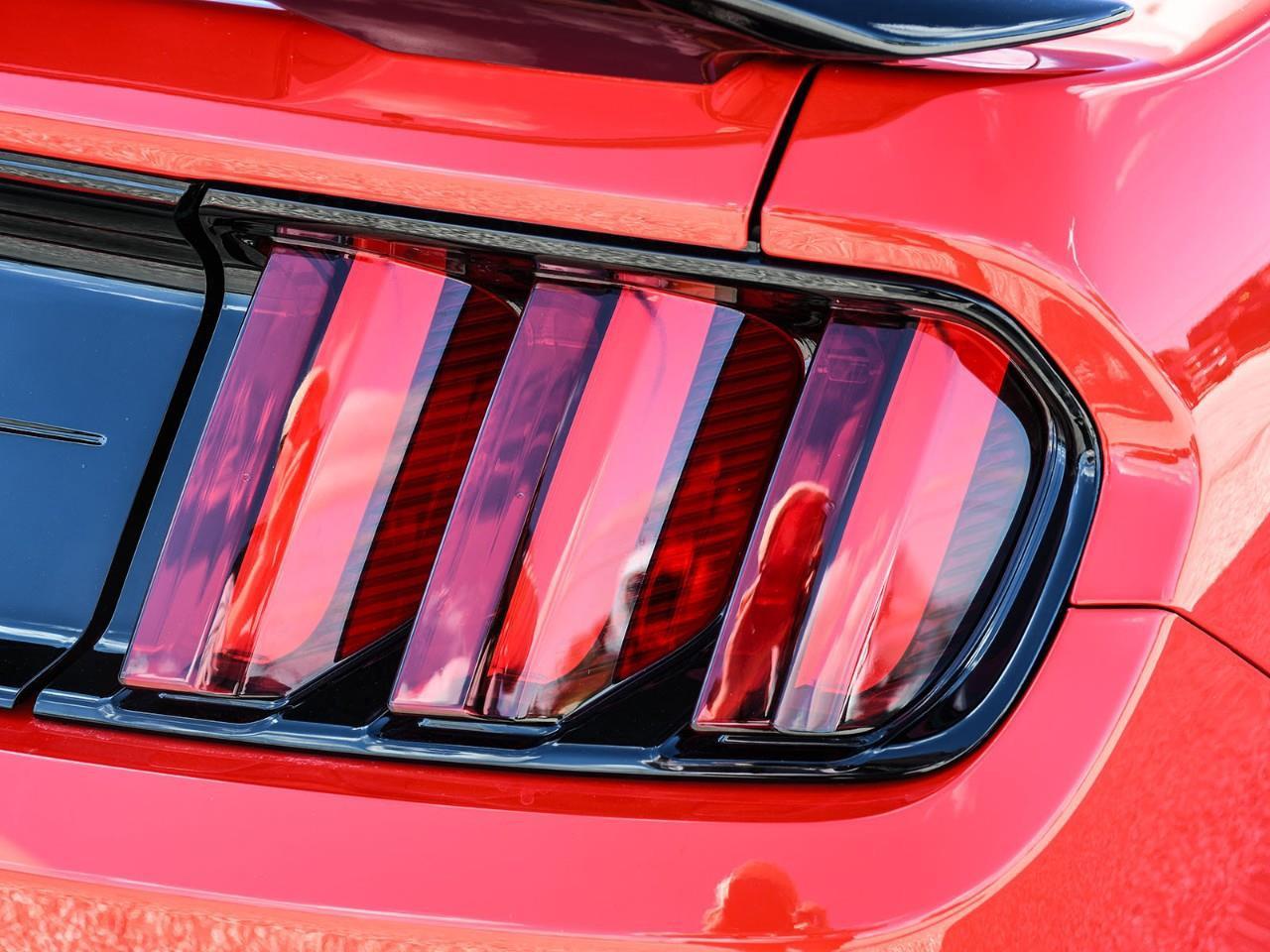 2019 Ford Mustang Shelby GT350 Photo