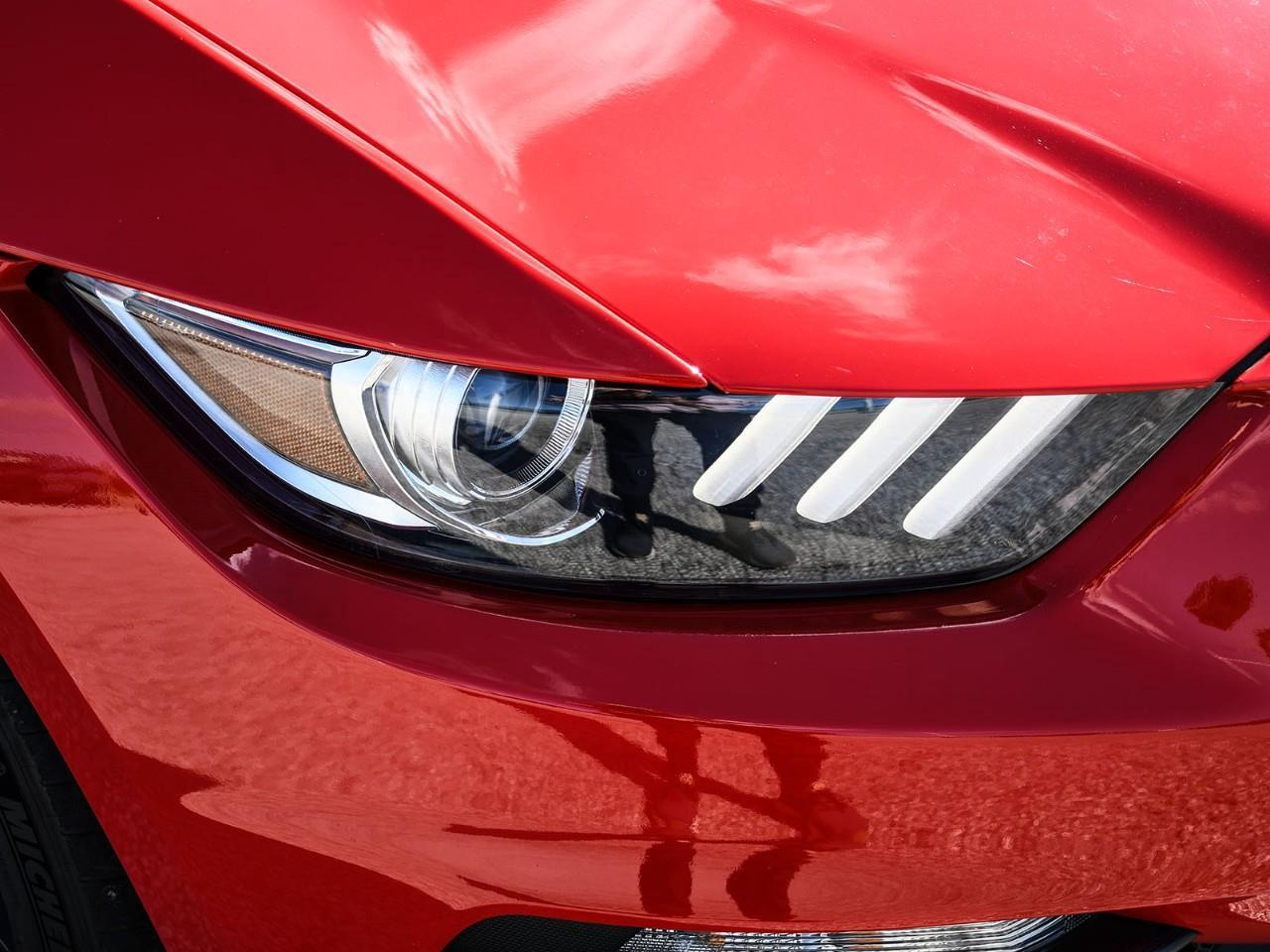 2019 Ford Mustang Shelby GT350 Photo