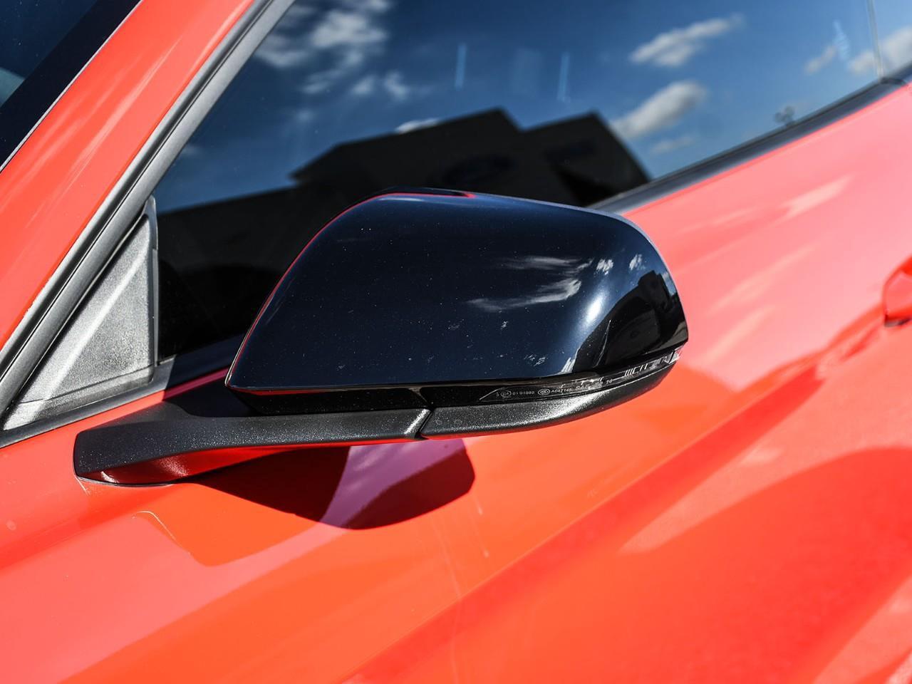 2019 Ford Mustang Shelby GT350 Photo