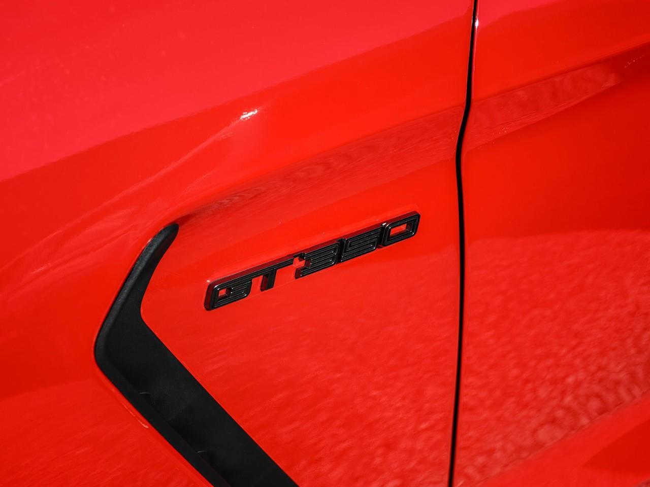 2019 Ford Mustang Shelby GT350 Photo