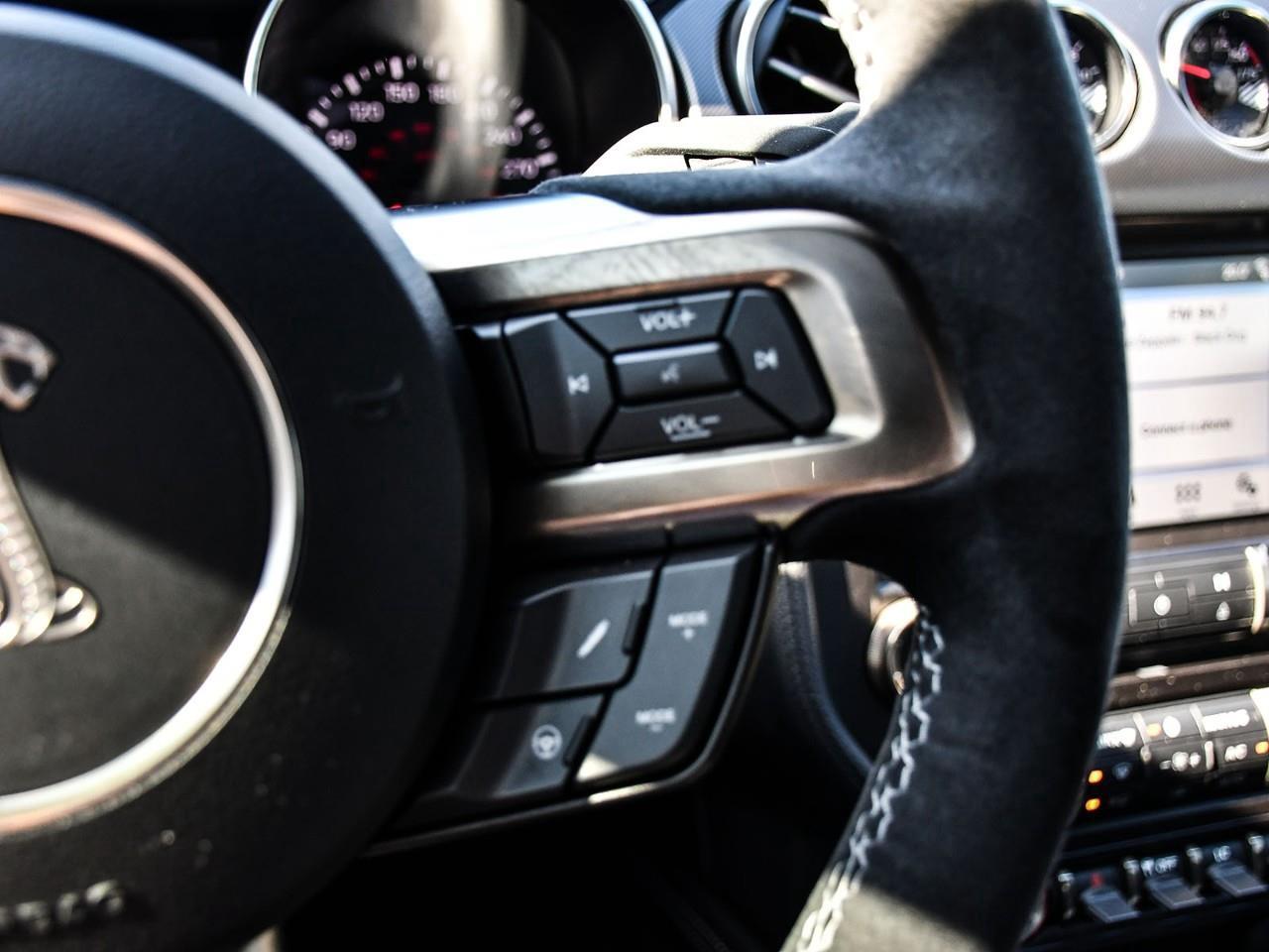2019 Ford Mustang Shelby GT350 Photo