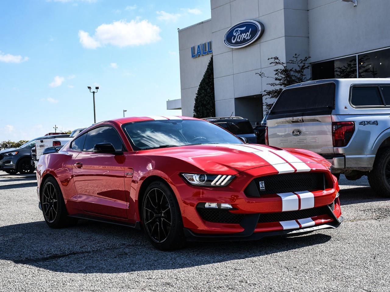 2019 Ford Mustang Shelby GT350 Photo