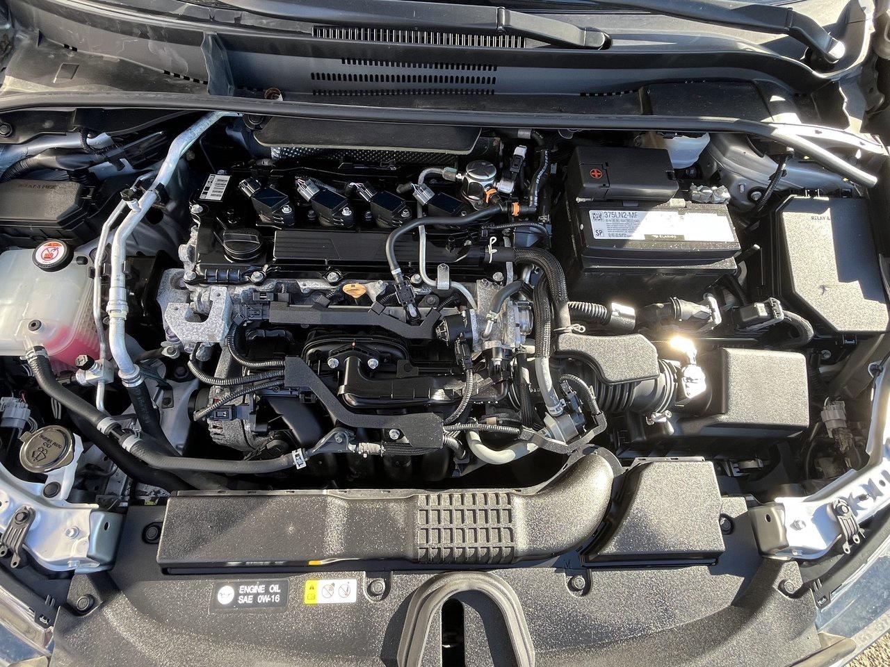 2022 Toyota Corolla SE Photo