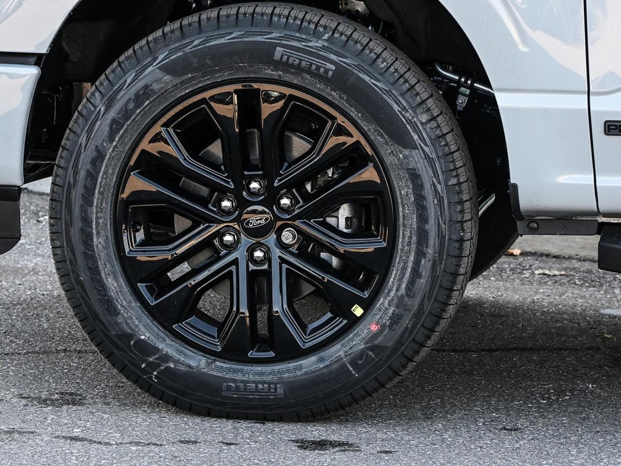 2026 Ford F-150 XLT Photo