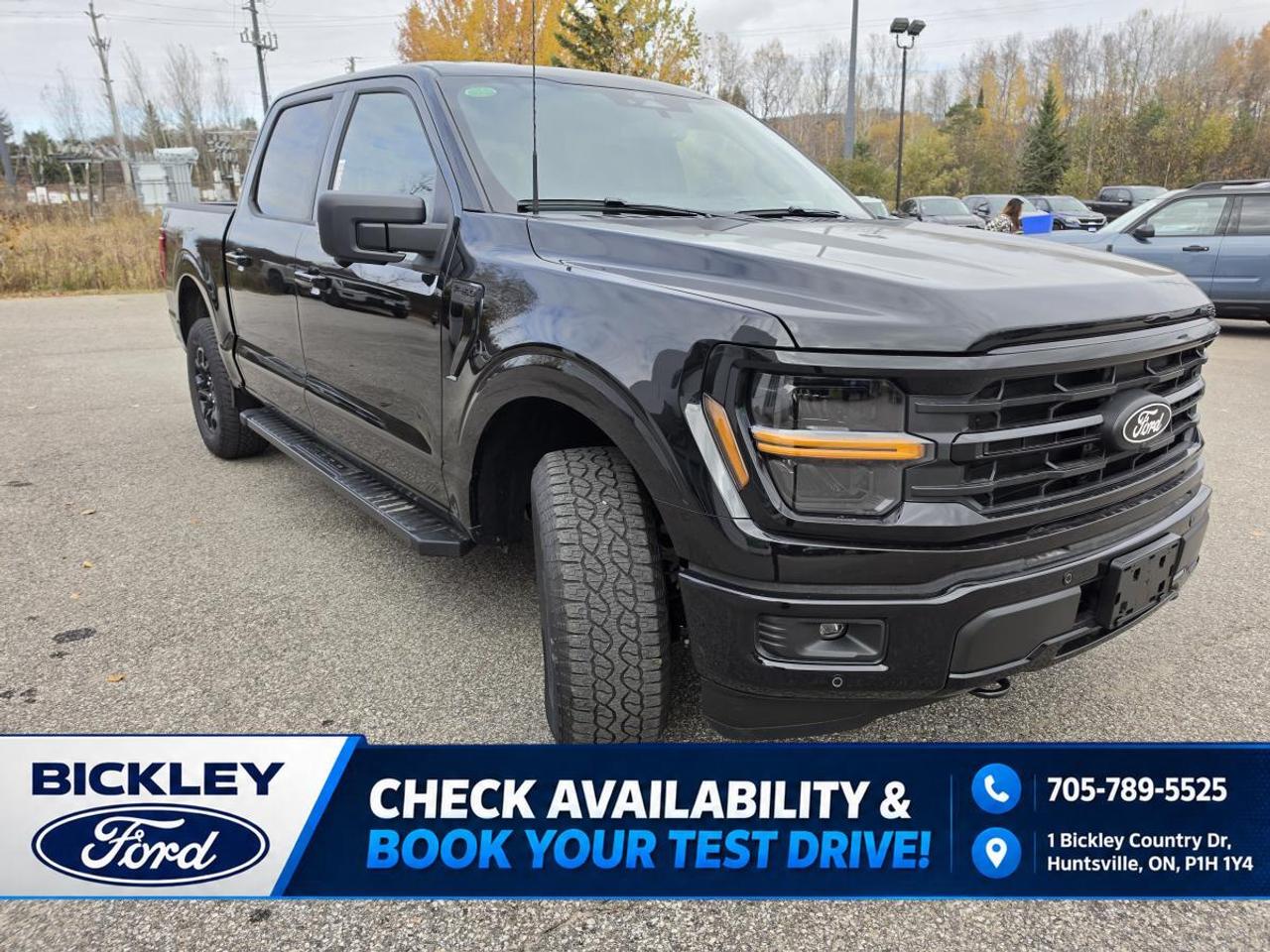 2026 Ford F-150 XLT Photo