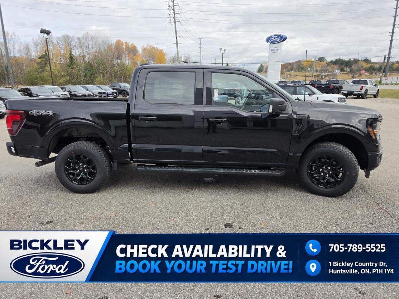 2026 Ford F-150 XLT Photo