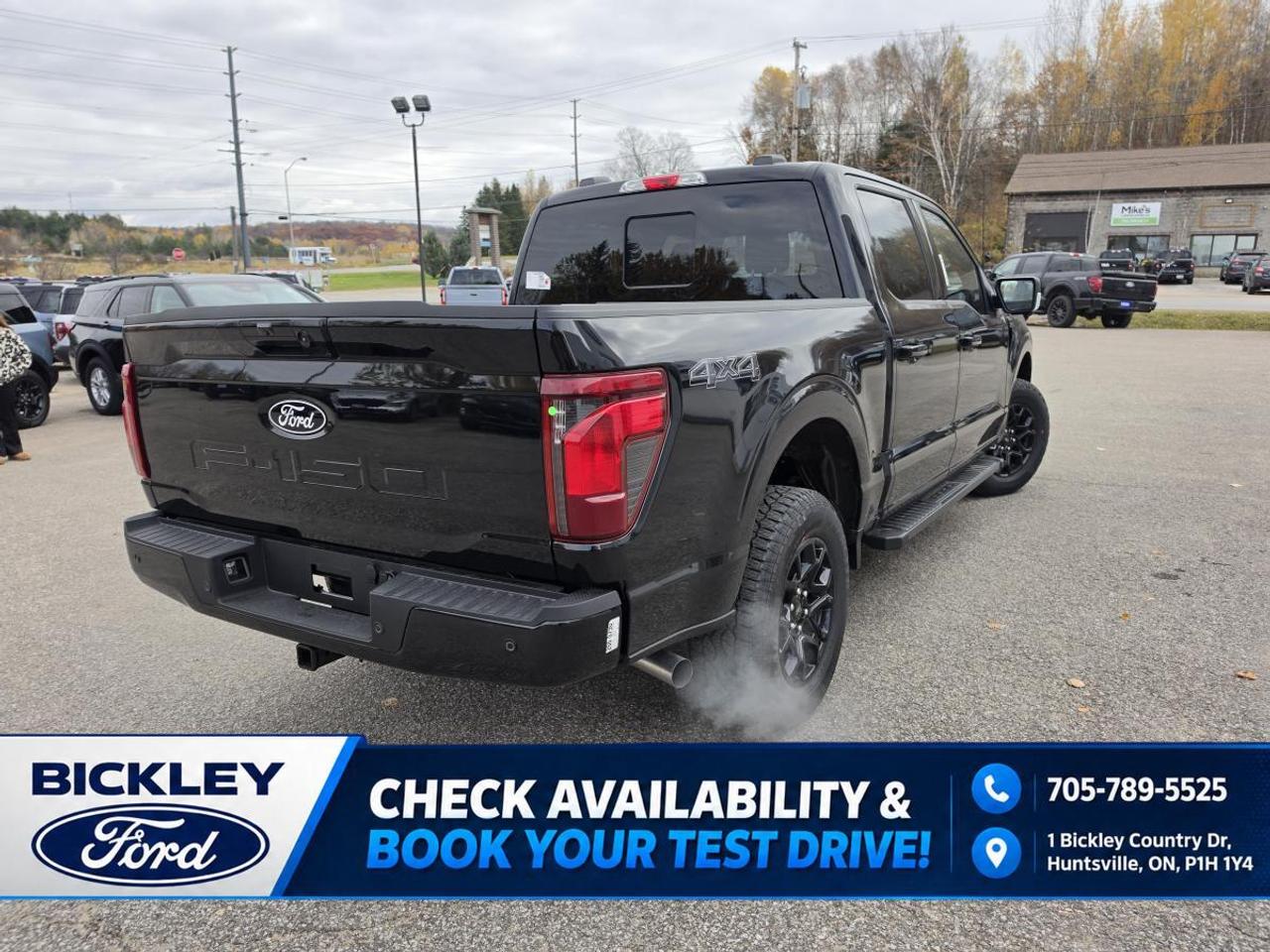 2026 Ford F-150 XLT Photo
