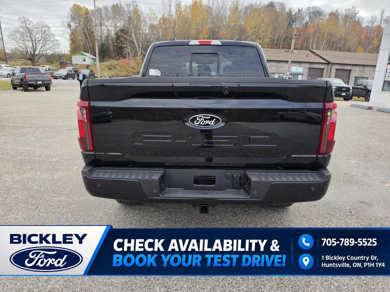 2026 Ford F-150 XLT Photo