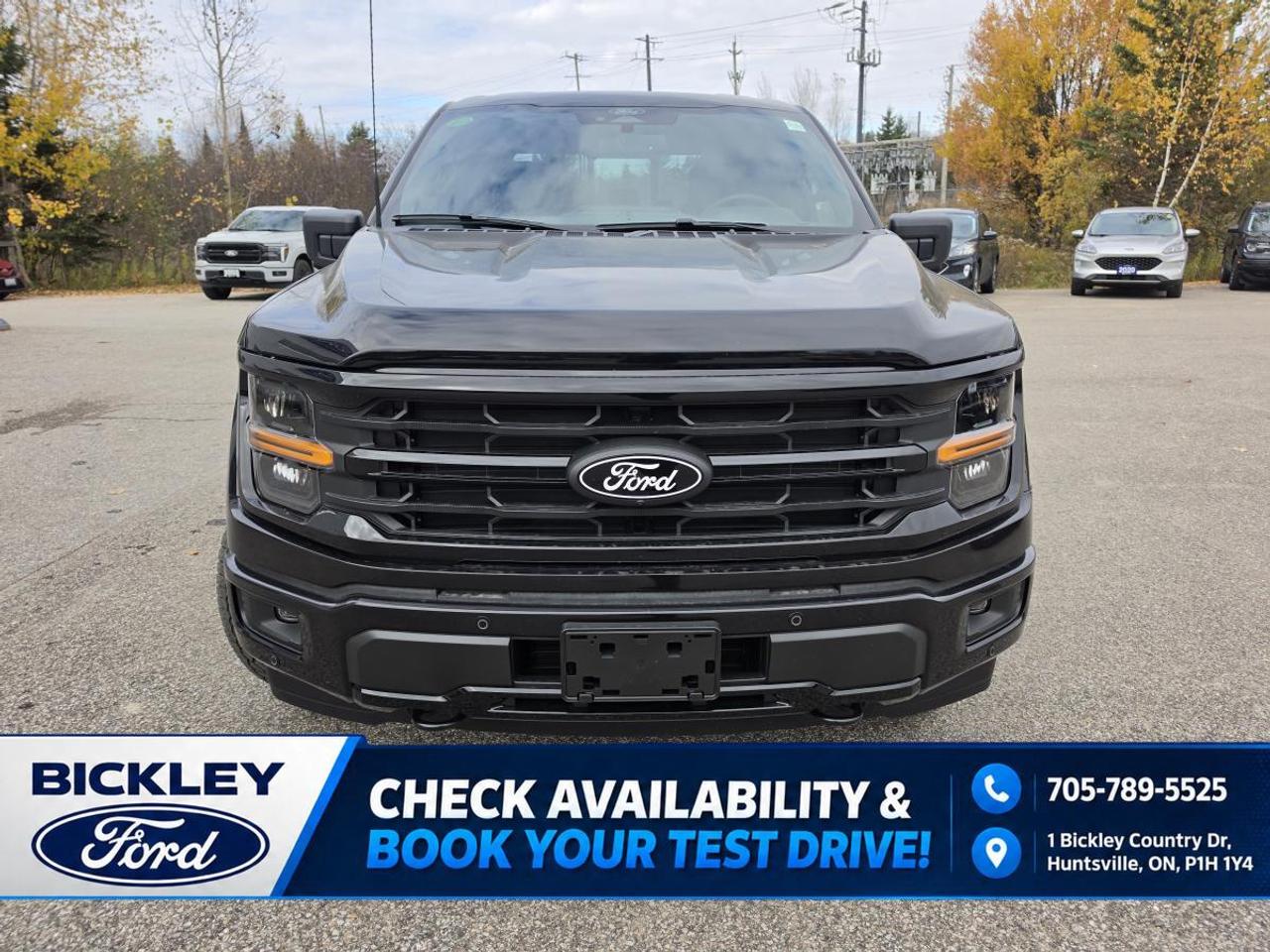 2026 Ford F-150 XLT Photo5
