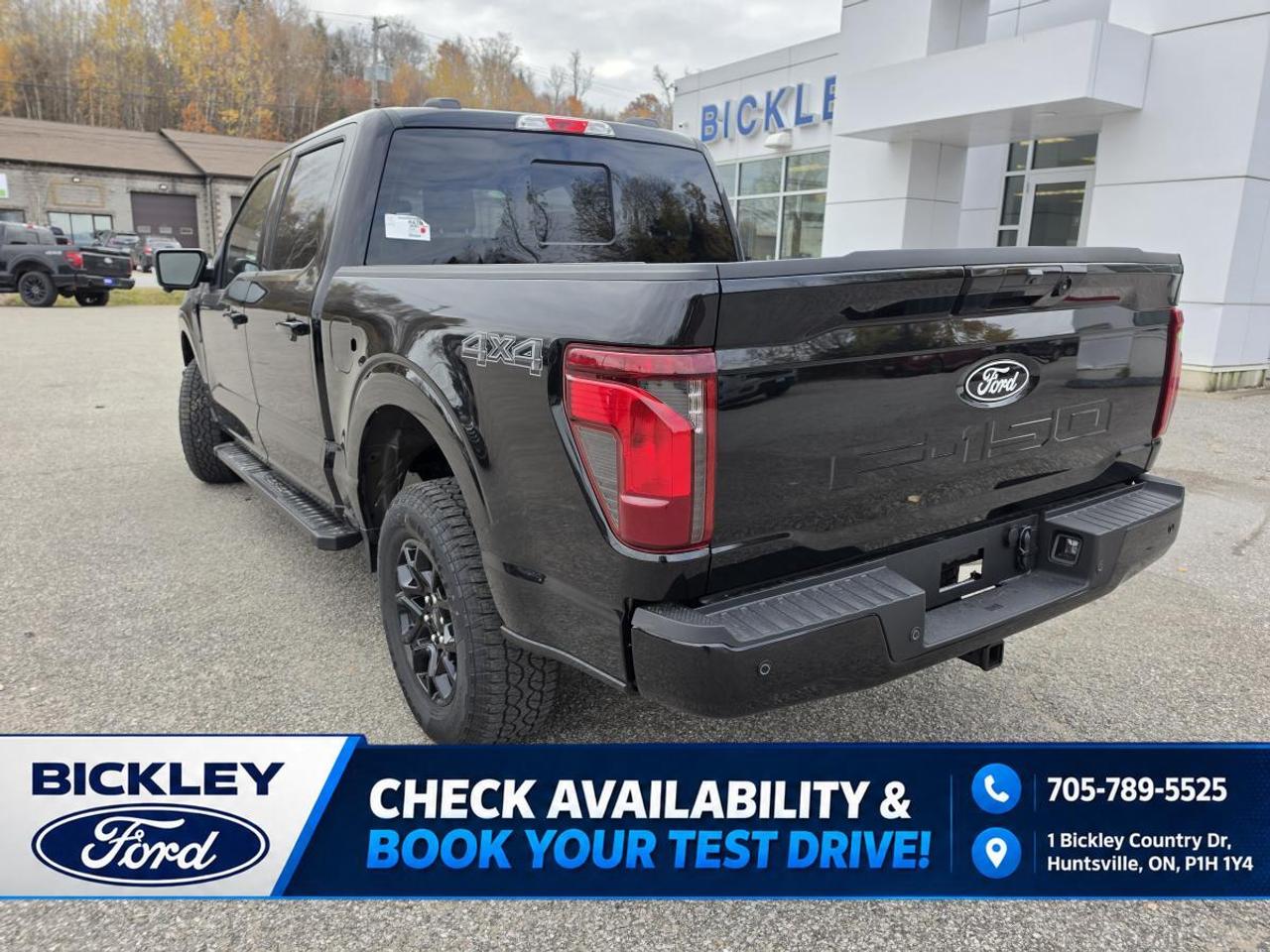2026 Ford F-150 XLT Photo