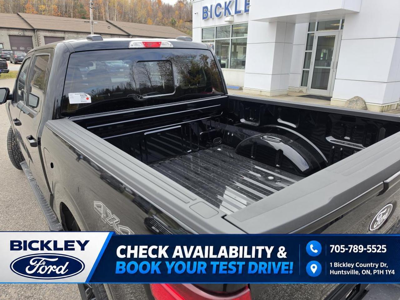 2026 Ford F-150 XLT Photo