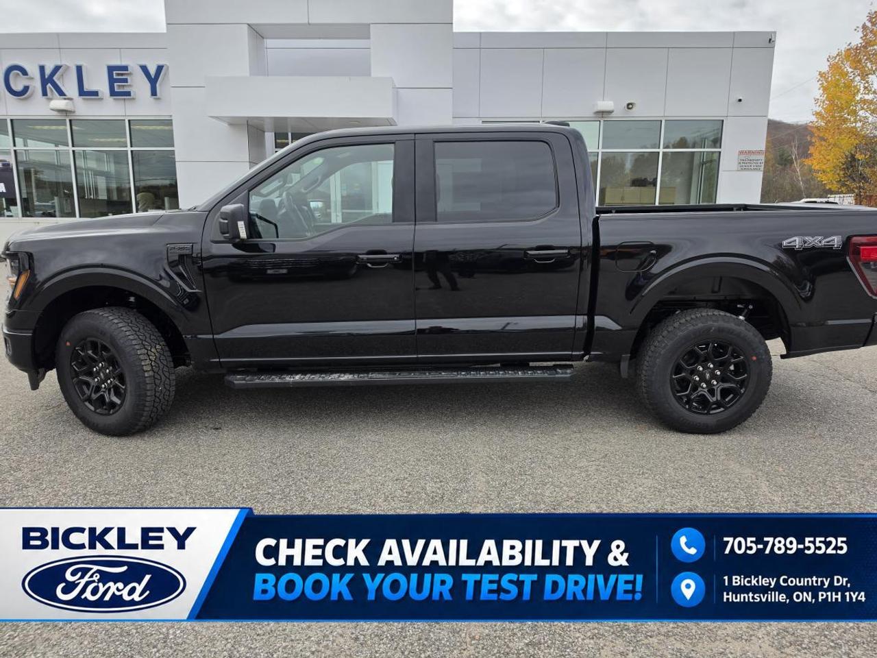 2026 Ford F-150 XLT Photo