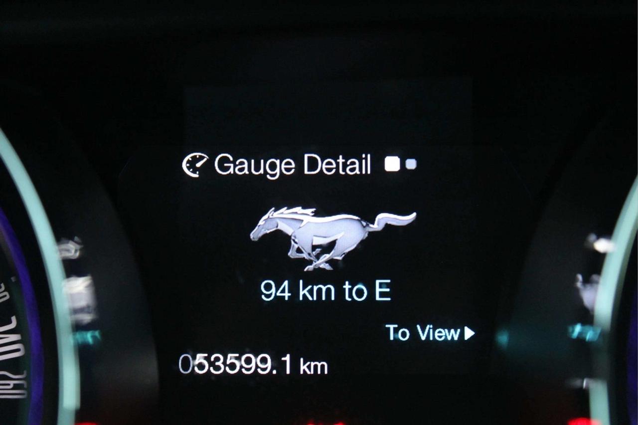 2014 Ford Mustang GT Photo