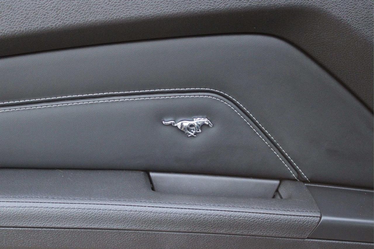 2014 Ford Mustang GT Photo