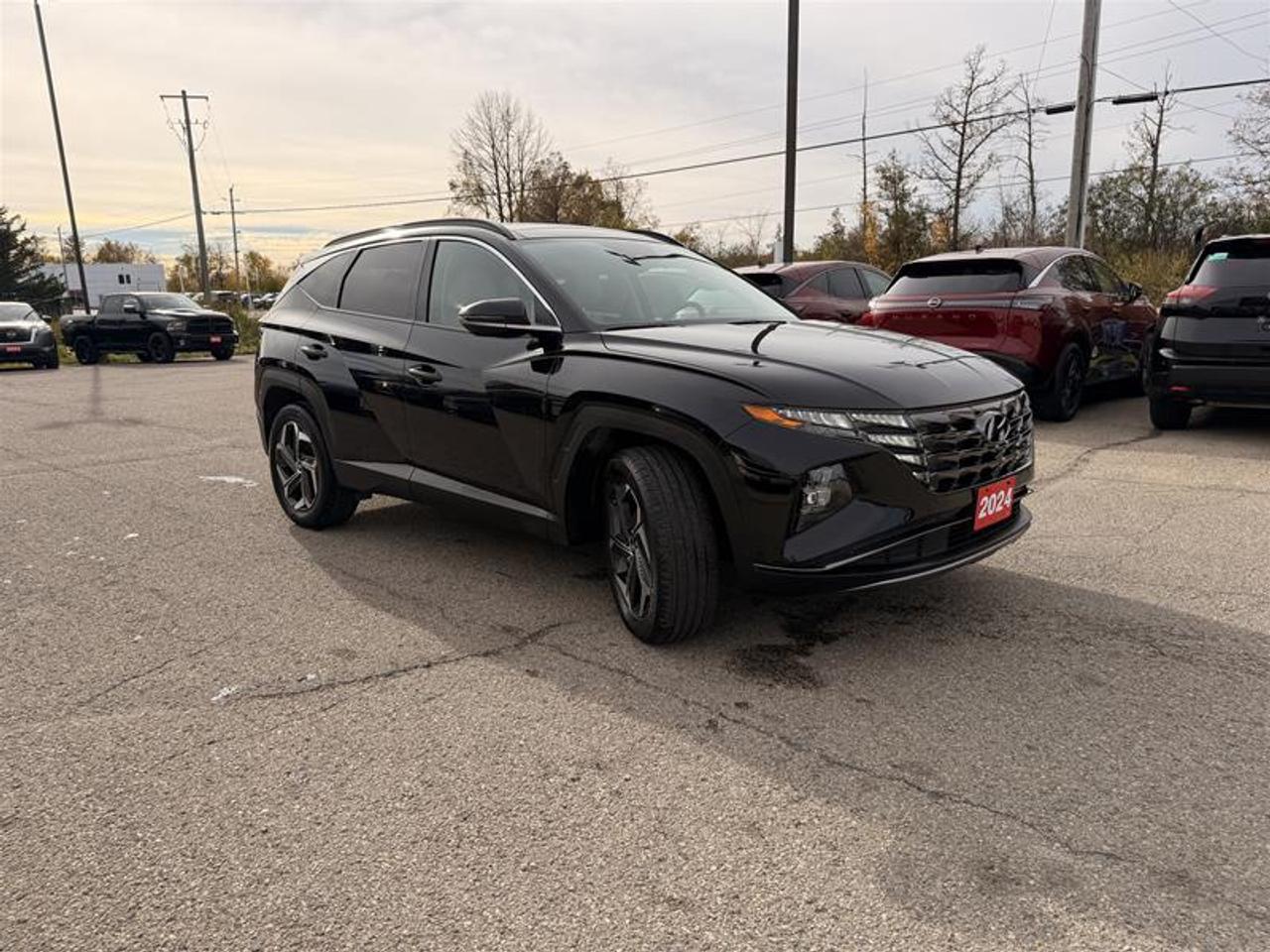 2024 Hyundai Tucson Hybrid Luxury AWD Photo2