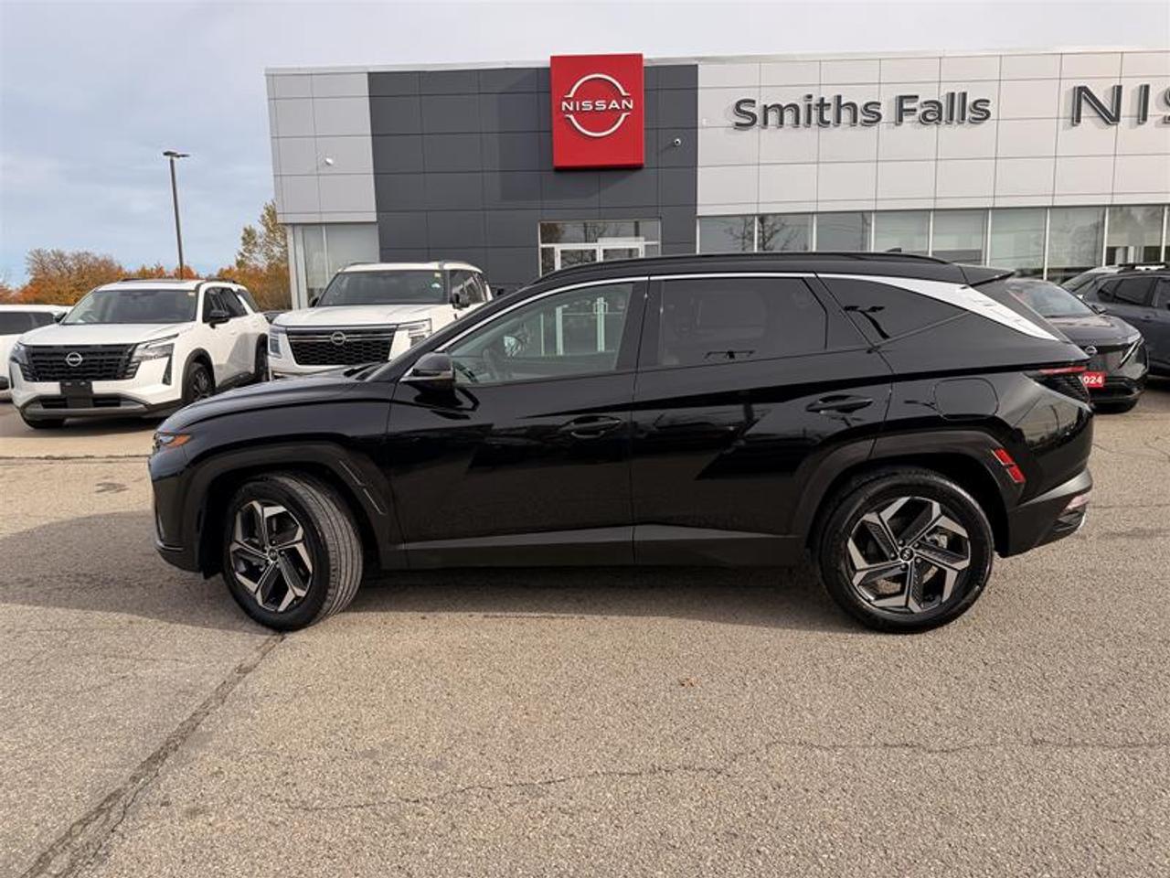 2024 Hyundai Tucson Hybrid Luxury AWD Photo