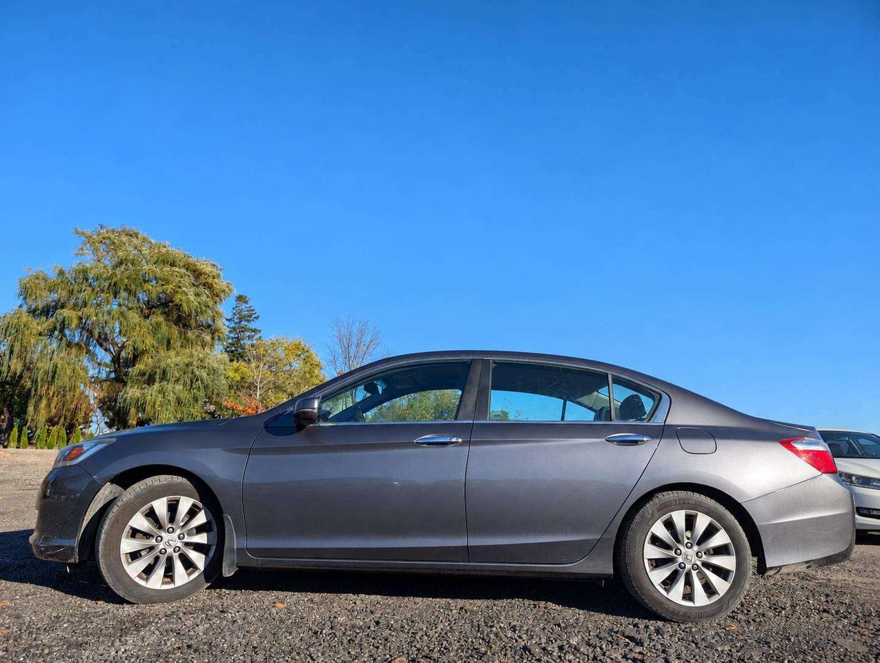2014 Honda Accord EX-L (No Accidents, Dealer Serviced) Photo5