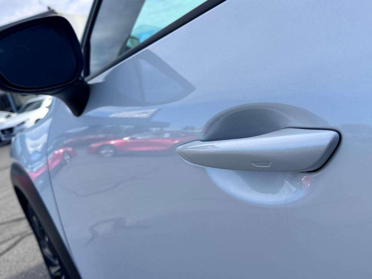 2024 Mazda CX-50 GT W/TURBO Photo