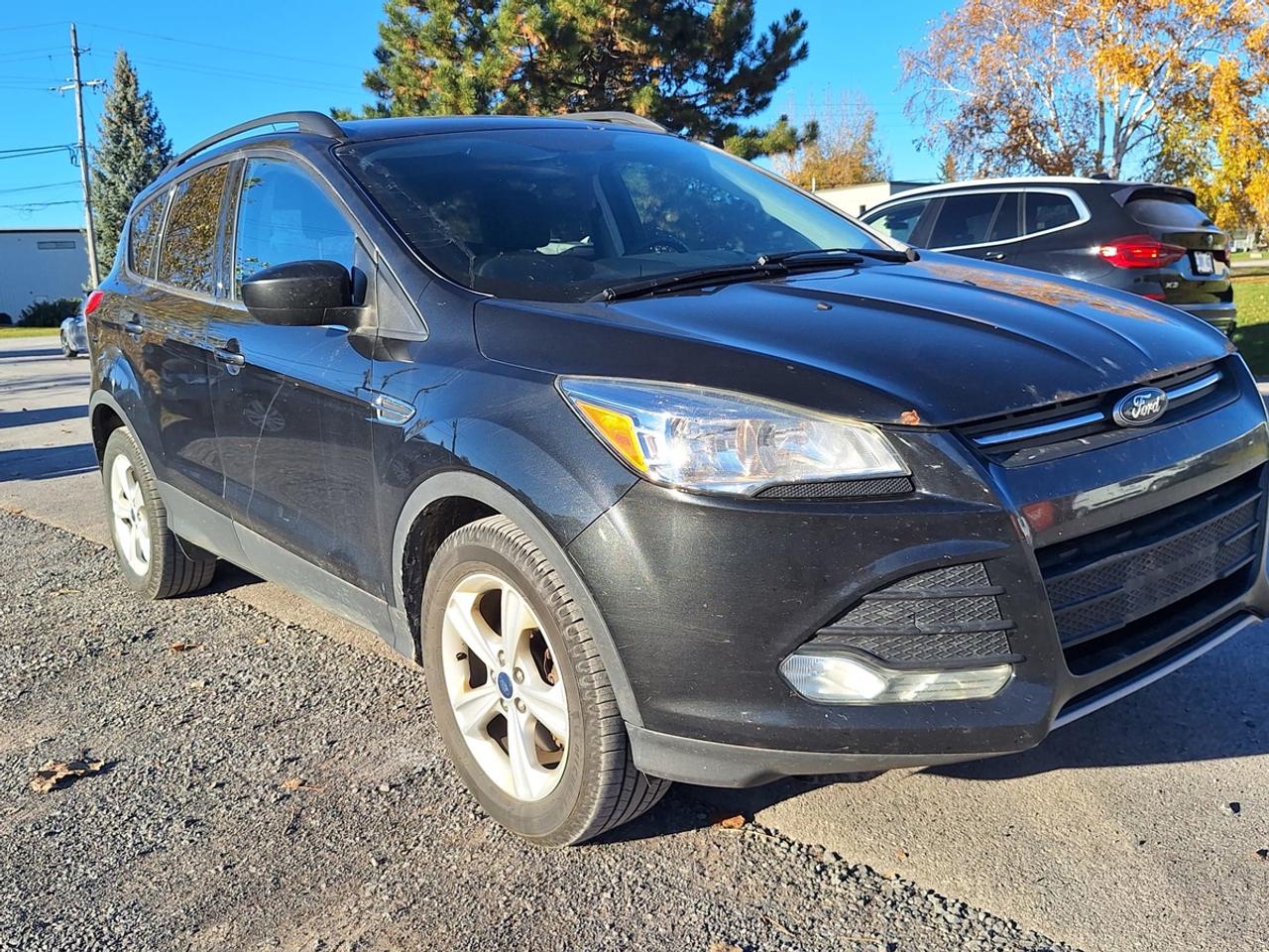 2015 Ford Escape SE Photo
