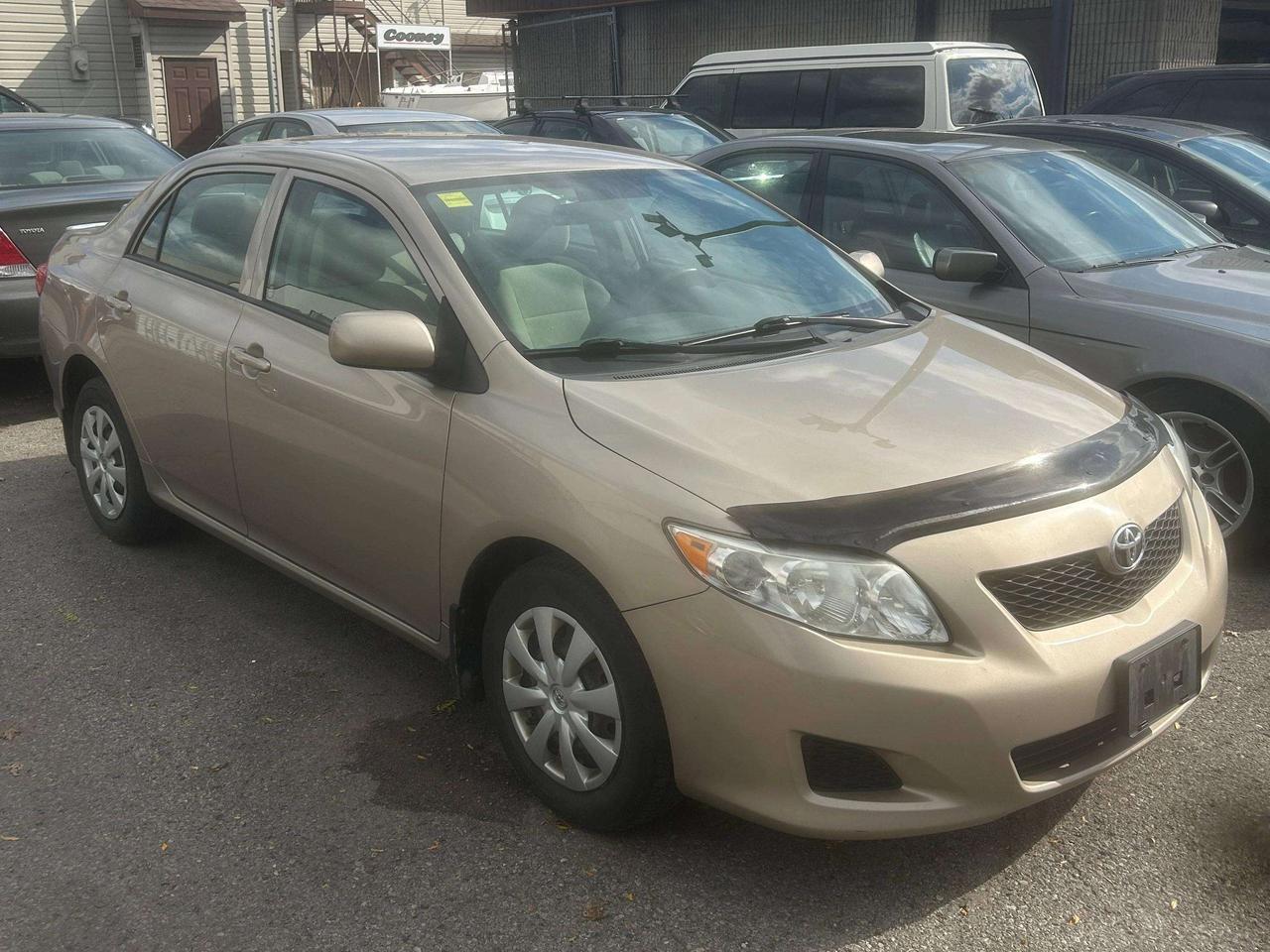 2010 Toyota Corolla CE Photo