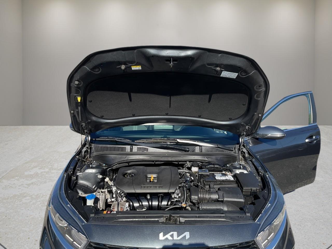 2024 Kia Forte  Photo