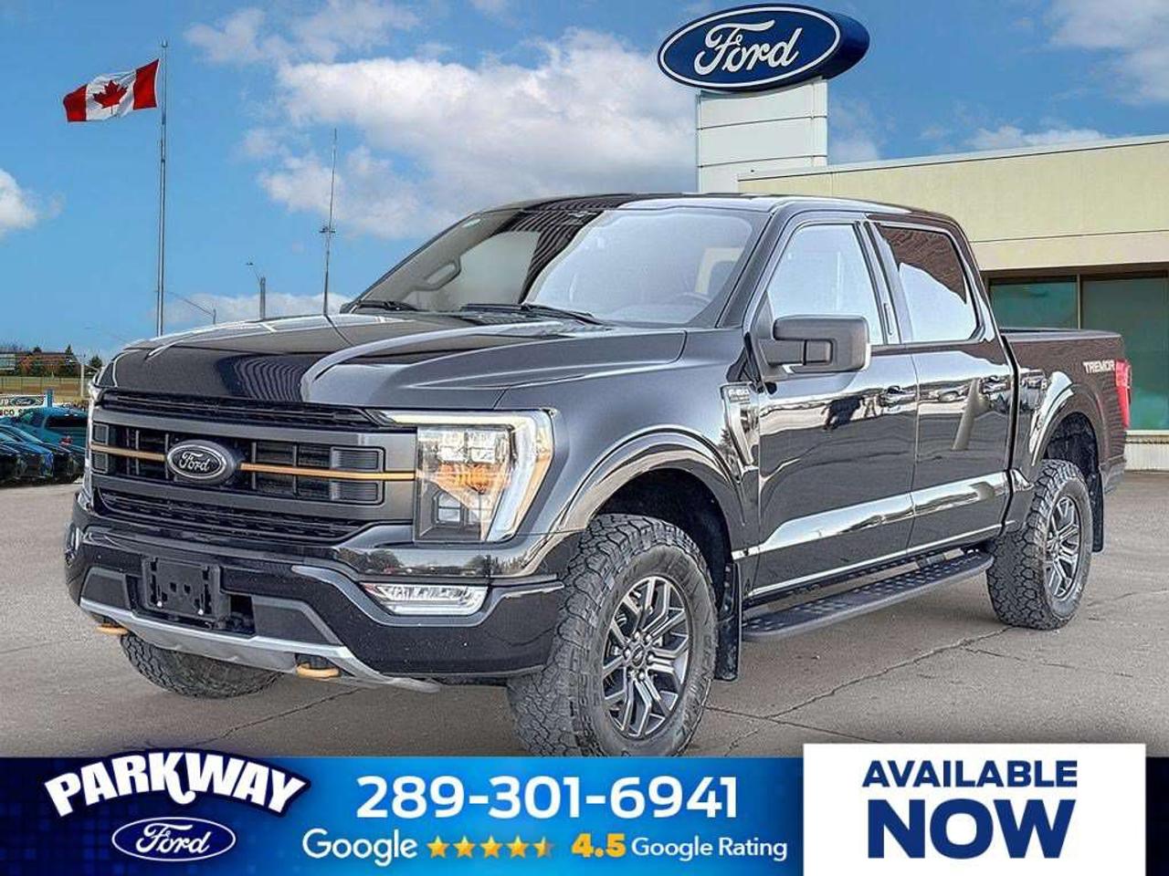 2023 Ford F-150 Tremor   TAILGATE STEP   REAR CAMERA Photo