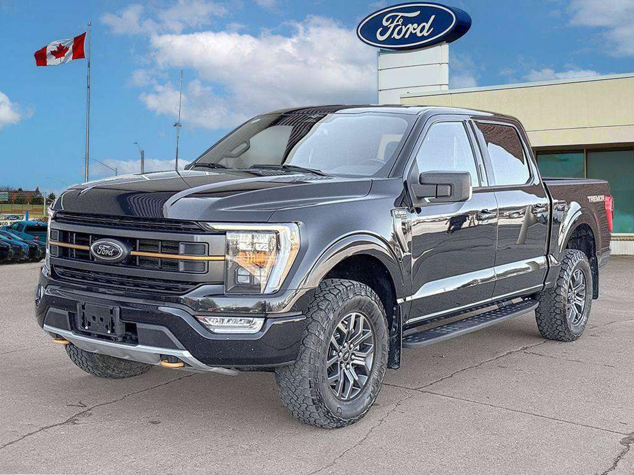 2023 Ford F-150 Tremor   TAILGATE STEP   REAR CAMERA Photo5