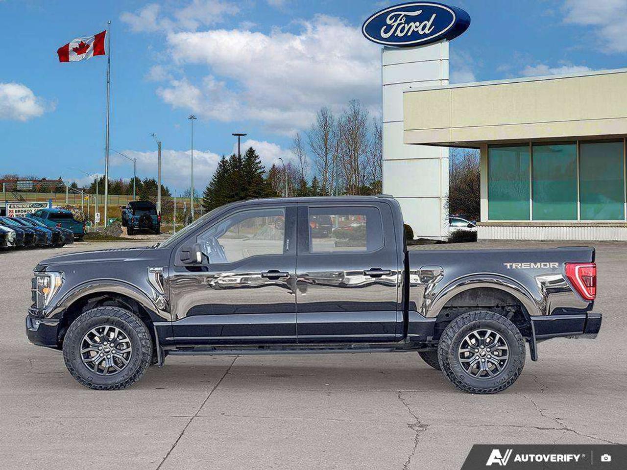 2023 Ford F-150 Tremor   TAILGATE STEP   REAR CAMERA Photo