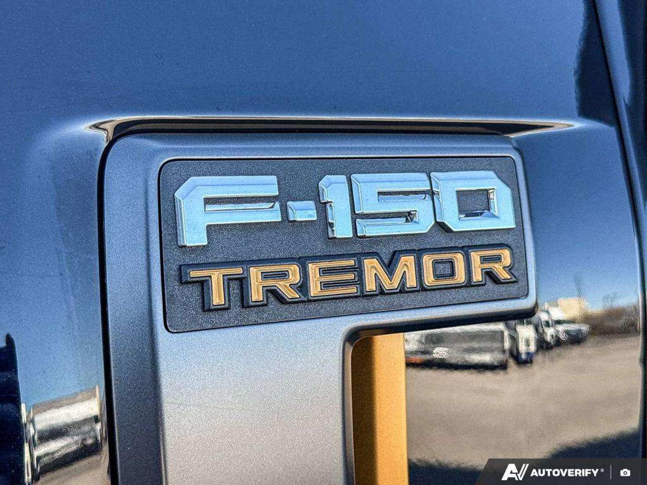 2023 Ford F-150 Tremor   TAILGATE STEP   REAR CAMERA Photo