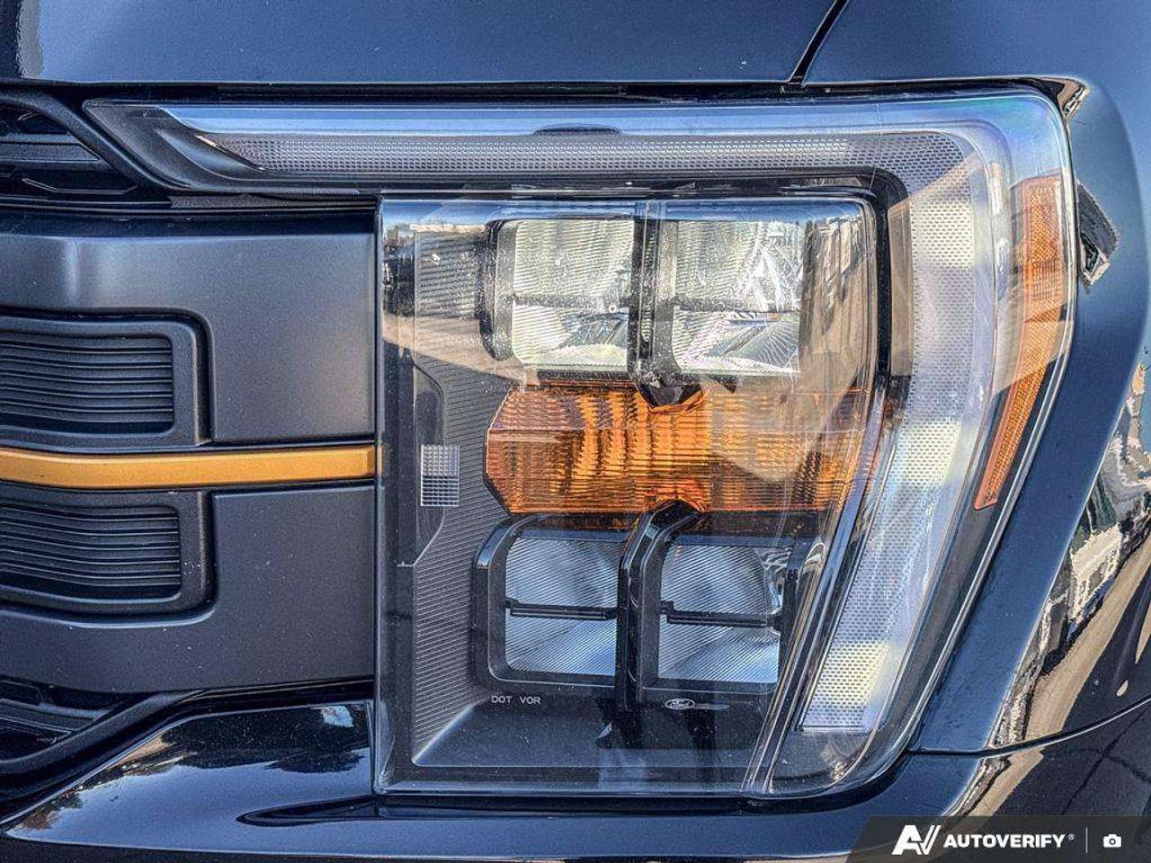 2023 Ford F-150 Tremor   TAILGATE STEP   REAR CAMERA Photo
