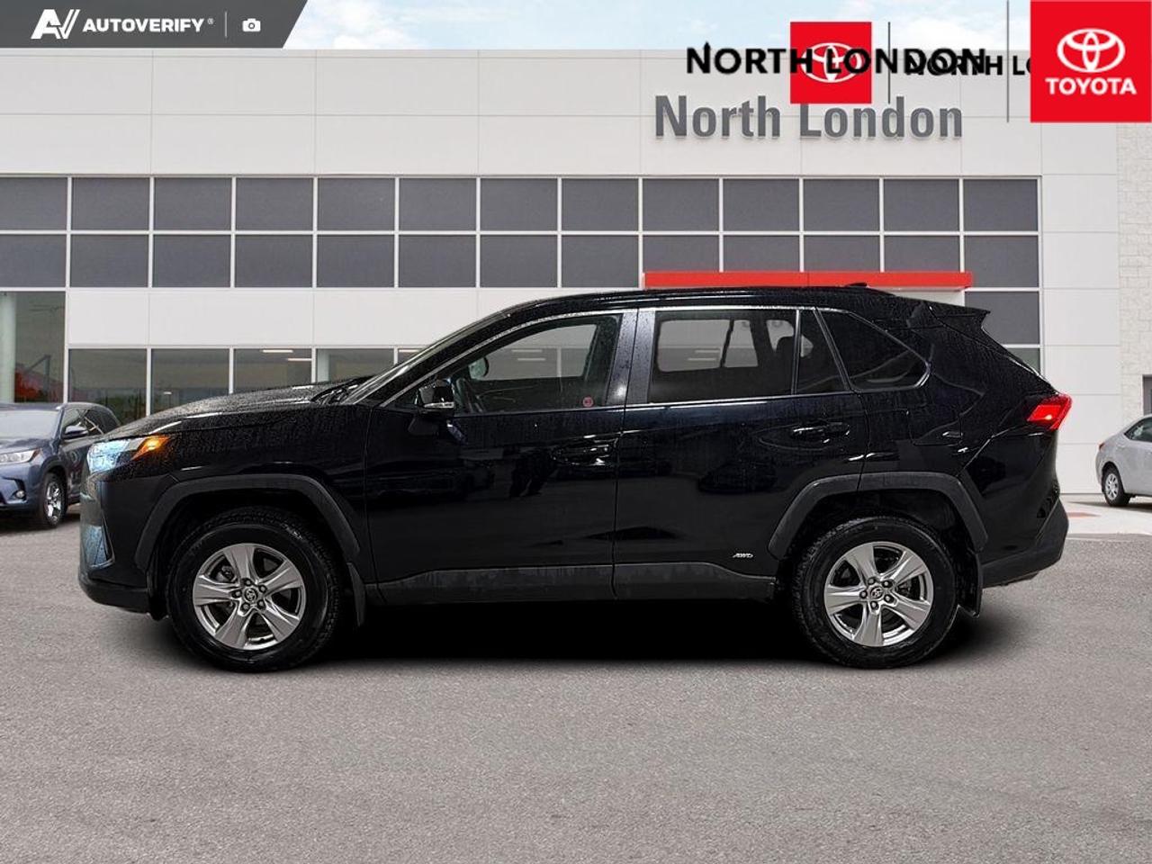 2025 Toyota RAV4 Hybrid XLE 4dr All-Wheel Drive Photo