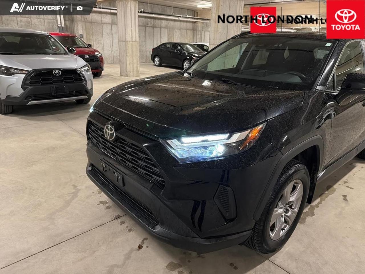 2025 Toyota RAV4 Hybrid XLE 4dr All-Wheel Drive Photo