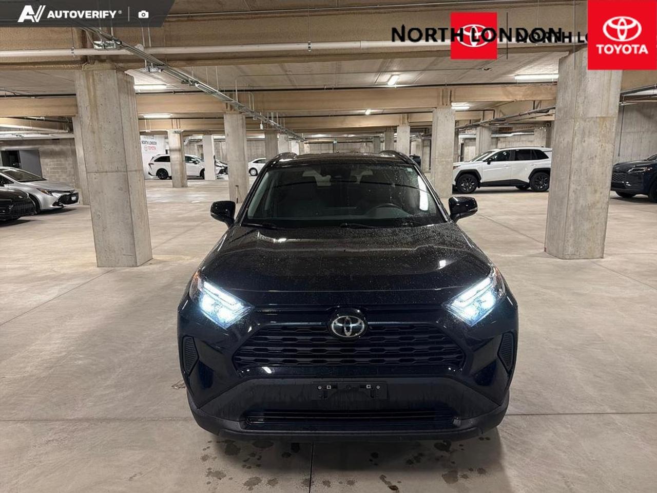 2025 Toyota RAV4 Hybrid XLE 4dr All-Wheel Drive Photo