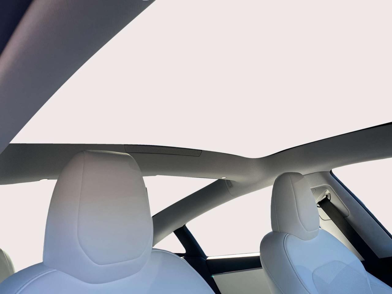 2024 Tesla Model 3 RWD Photo