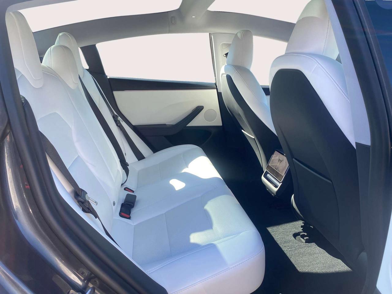 2024 Tesla Model 3 RWD Photo
