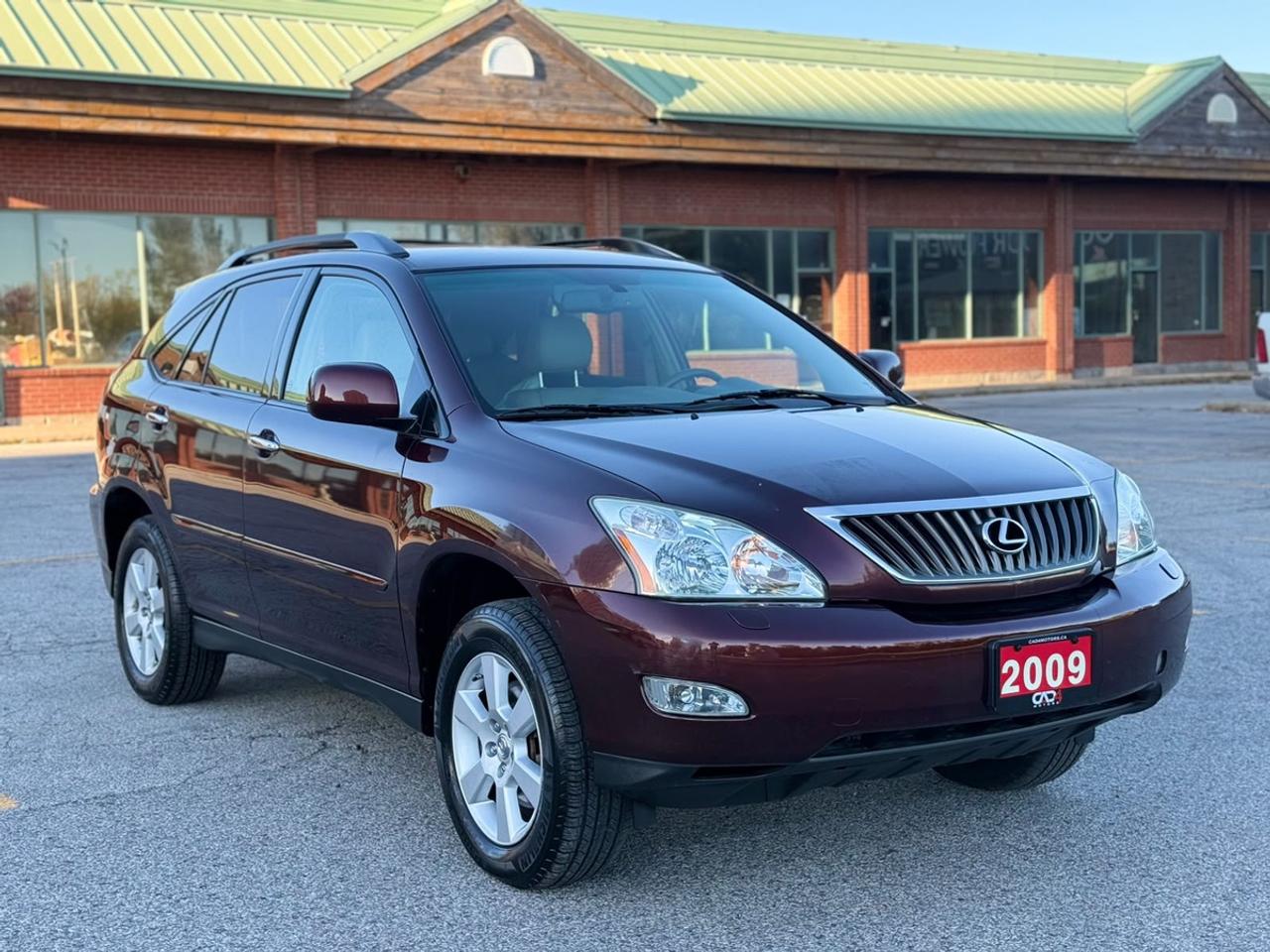 2009 Lexus RX 350 Photo