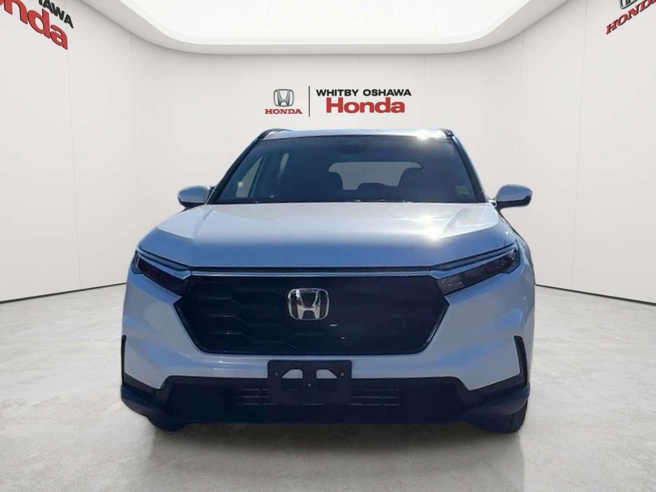 2024 Honda CR-V Sport Photo