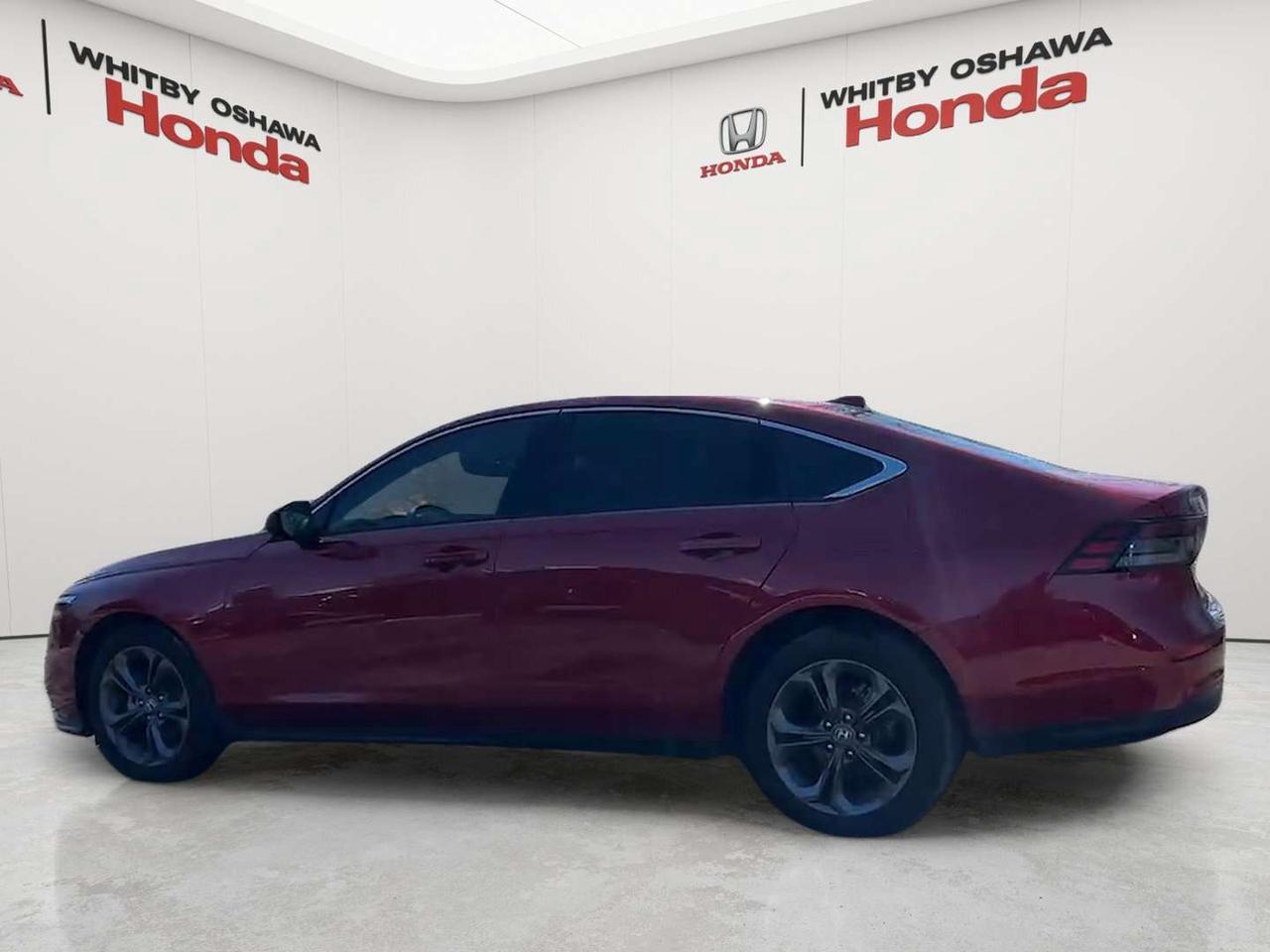 2023 Honda Accord EX Photo