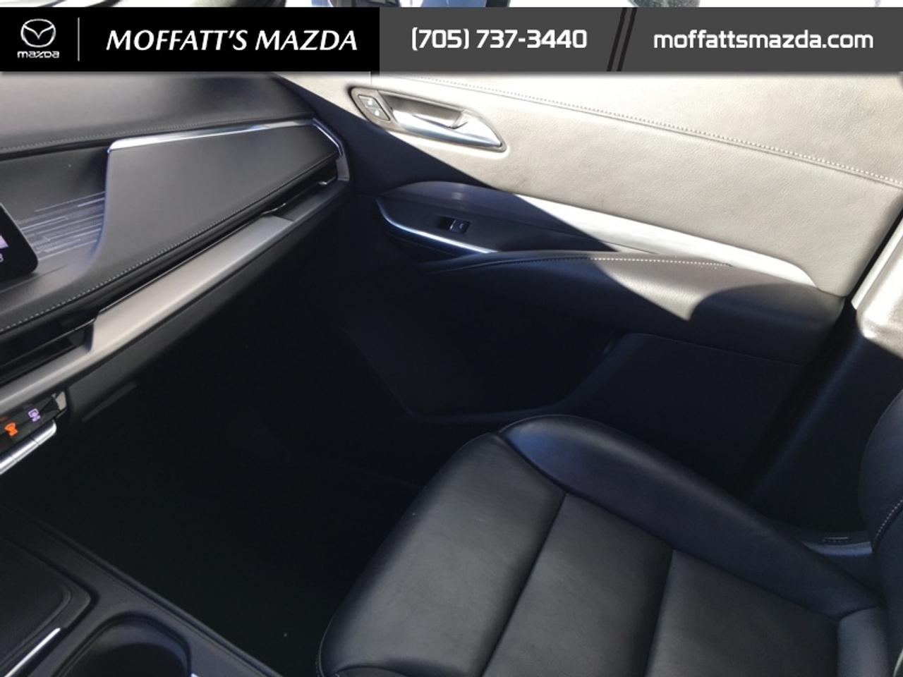 2024 Cadillac XT4 Premium Luxury Photo